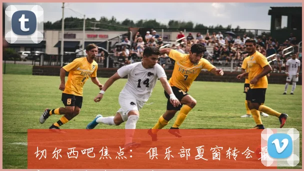 切尔西吧焦点：俱乐部夏窗转会最新动态与球迷反应