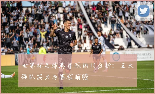 世界杯足球赛夺冠热门分析：五大强队实力与赛程前瞻