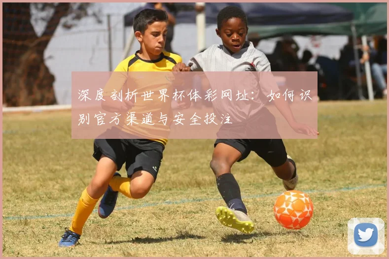 深度剖析世界杯体彩网址:如何识别官方渠道与安全投注