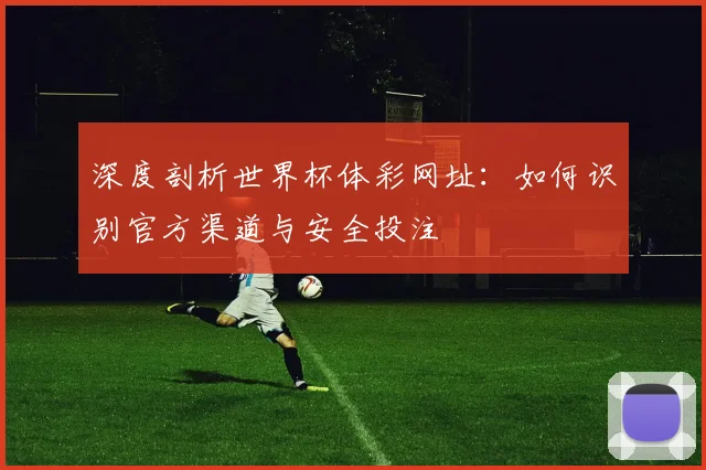 深度剖析世界杯体彩网址:如何识别官方渠道与安全投注